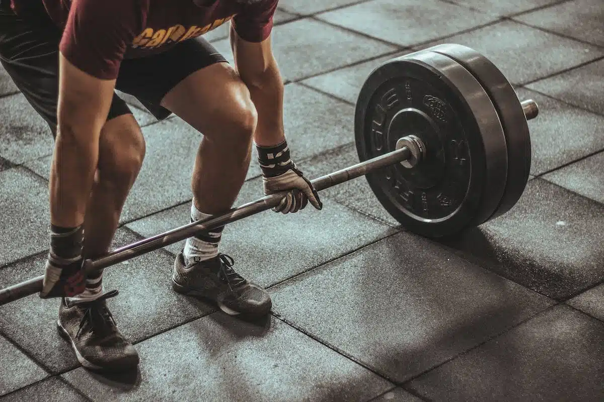 équipement musculation