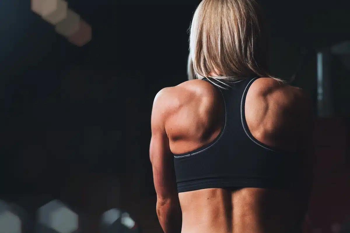musculation  perte poids